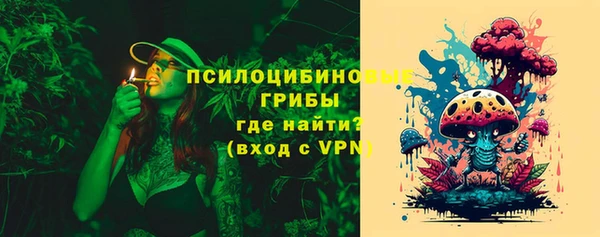 винт Бронницы