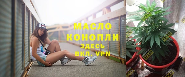 винт Бронницы